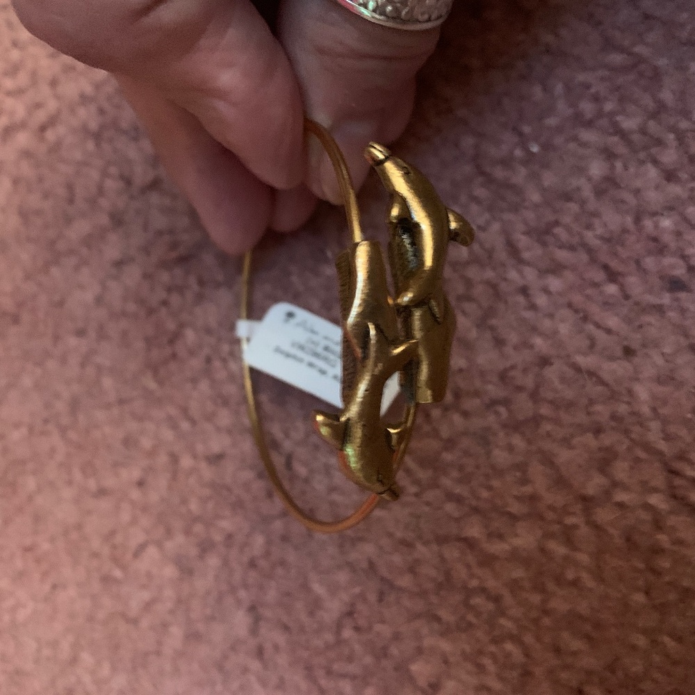 NWT ALEX AND ANI DOLPHIN WRAP BRACELET